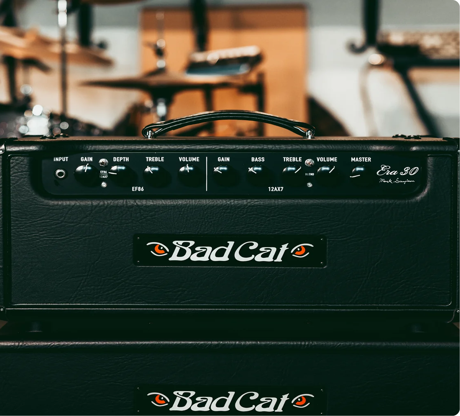 Bad Cat hand-wired amplifier