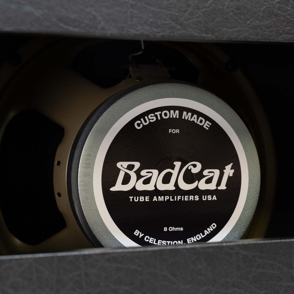 Hot Cat 1x12 Extension Cabinet