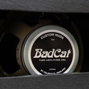 Hot Cat 1x12 Extension Cabinet