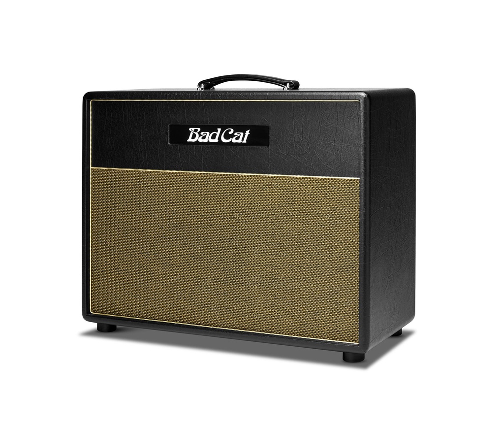 Bad Cat Black Cat 1x12 Left.jpeg