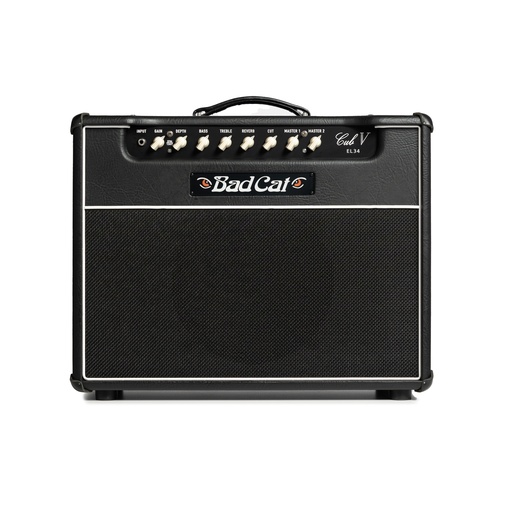 Cub V 1x12 Combo